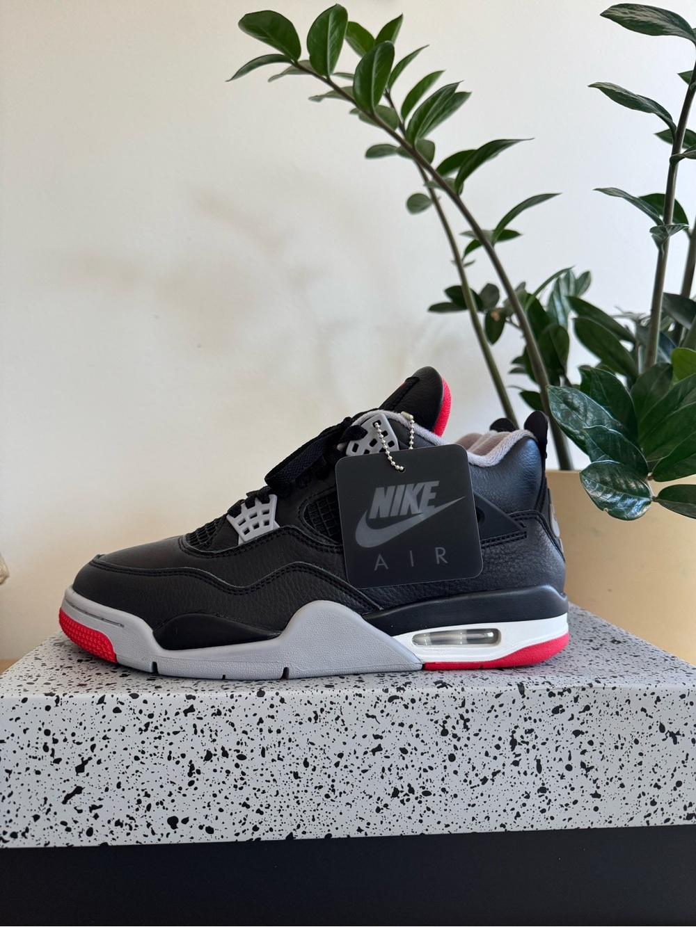 Air Jordan